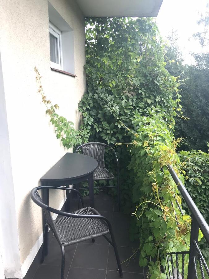 Noclegi Nad Potokiem Czarna  Eksteriør billede